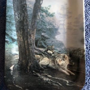 Natures Harmony from Bradford Exchange. Limited Edition collectors plates.